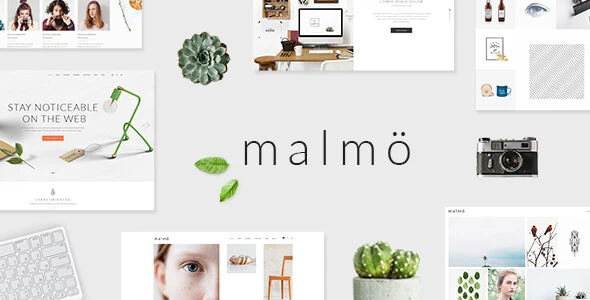 Malmö – A Charming Multi-concept WordPress Theme